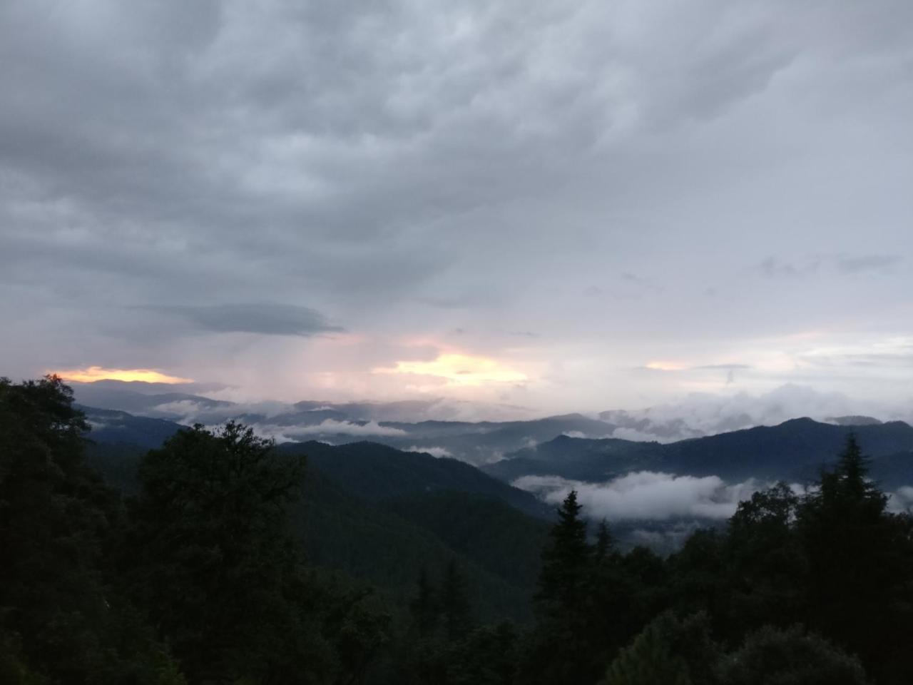 Simba Cafe & Lodge Binsar Exterior photo
